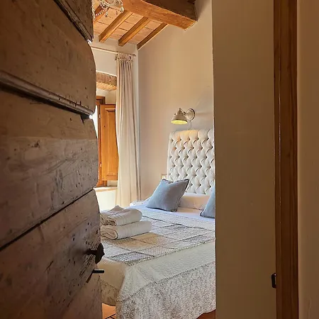 Bouganville Rosignano Marittimo