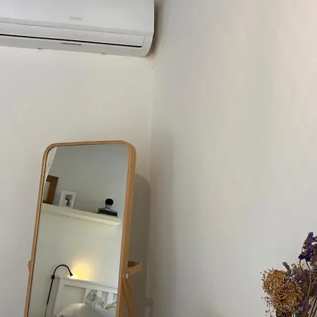 Bouganville Rosignano Marittimo