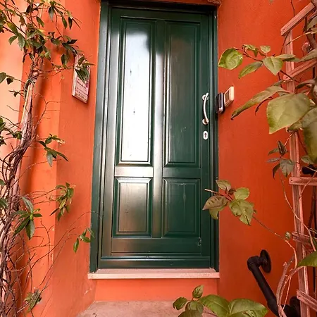 Bouganville * Rosignano Marittimo