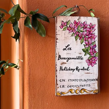 Bouganville Gasthuis Rosignano Marittimo